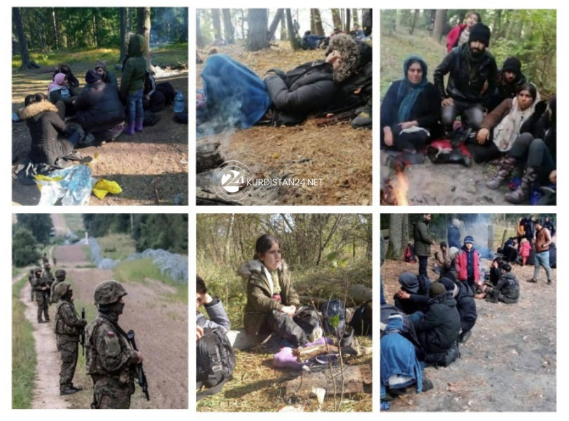 Iraqi and Syrian Kurdish migrants facing violence on Belarus's border with Poland and Lithuania (Photo: K24)